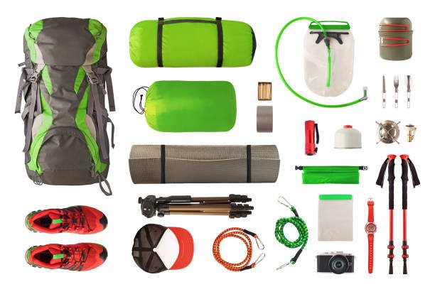 Ngorongoro Crater Guide