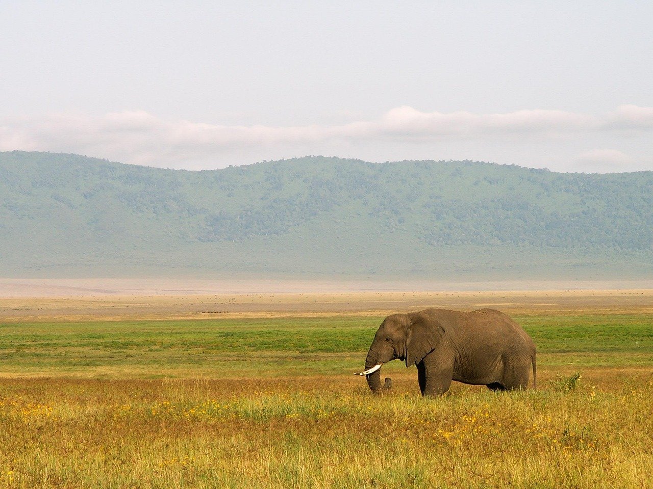 3 Days Serengeti & Ngorongoro Safari