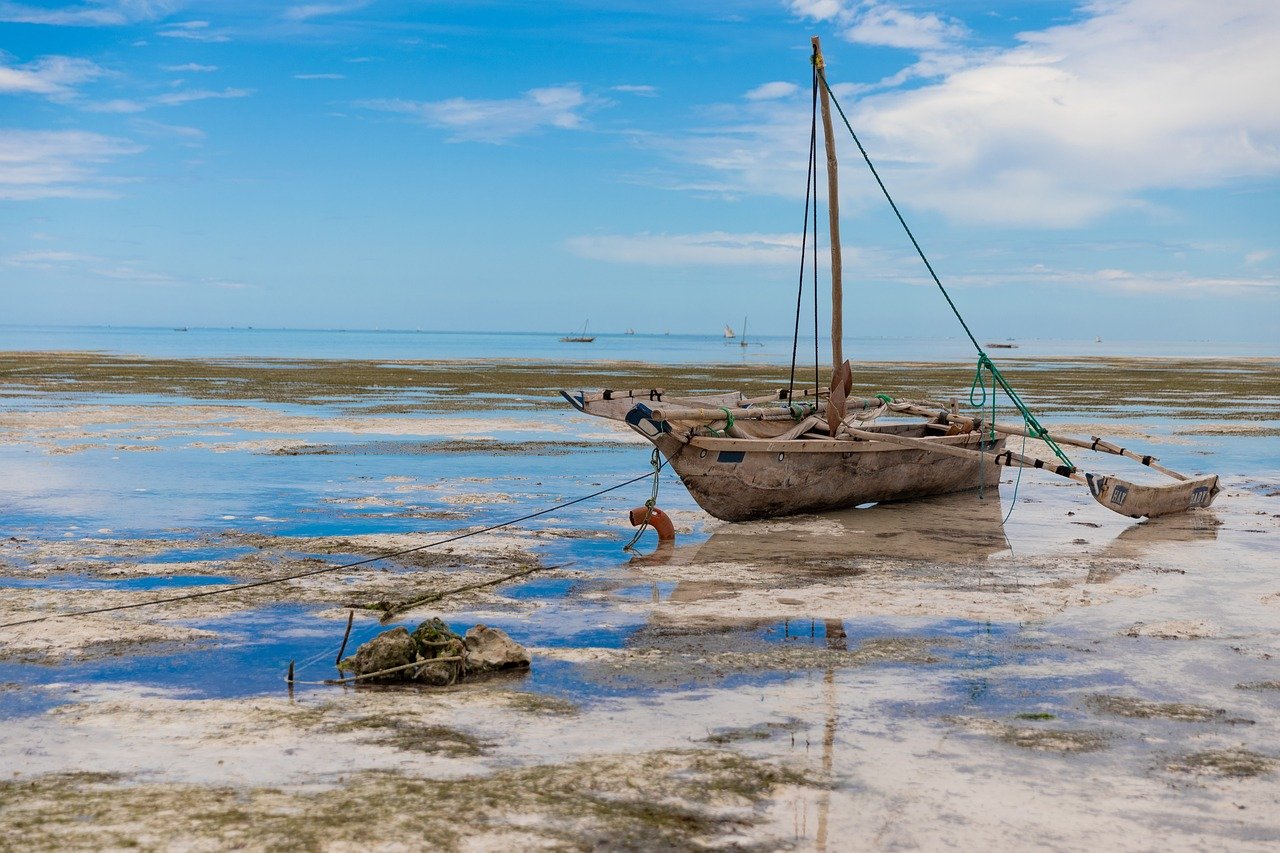 Zanzibar Honeymoon
